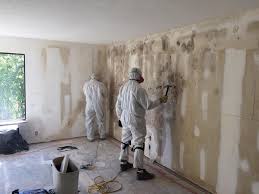 Best Airborne Mold Testing in Corpus Christi, TX